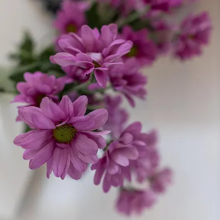 Staufenberg Apartament