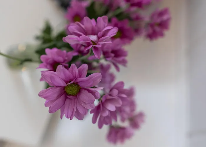 Staufenberg Апартаменты